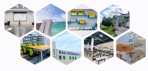 消博線報(bào) 醫(yī)藥黑科技、珍稀祖母綠與人工智能軟件齊聚，引領(lǐng)消費(fèi)新浪潮